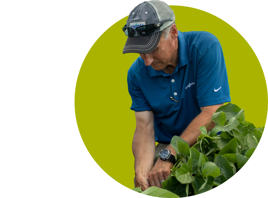 Farmer planting crops